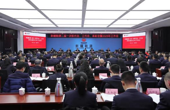 國能新疆能源召開二屆一次職代會、工代會、表彰會暨2025年工作會