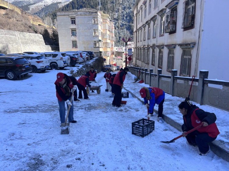 挺膺擔當志愿服務，清冰除雪保障安全